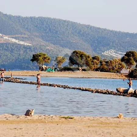 Akbuek Palace Appartement Didim